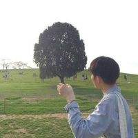 永不言弃的豆豆