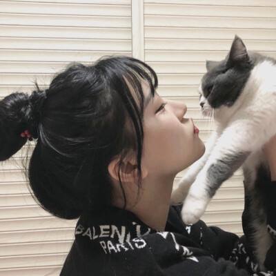 万圣节的南瓜灯